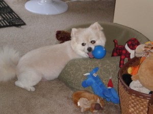 still playful ...and super cute!