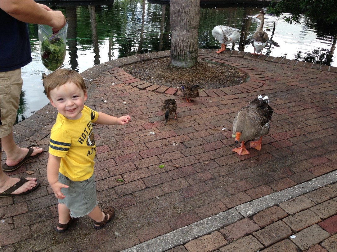 Lake Eola_8.4.13_ 004