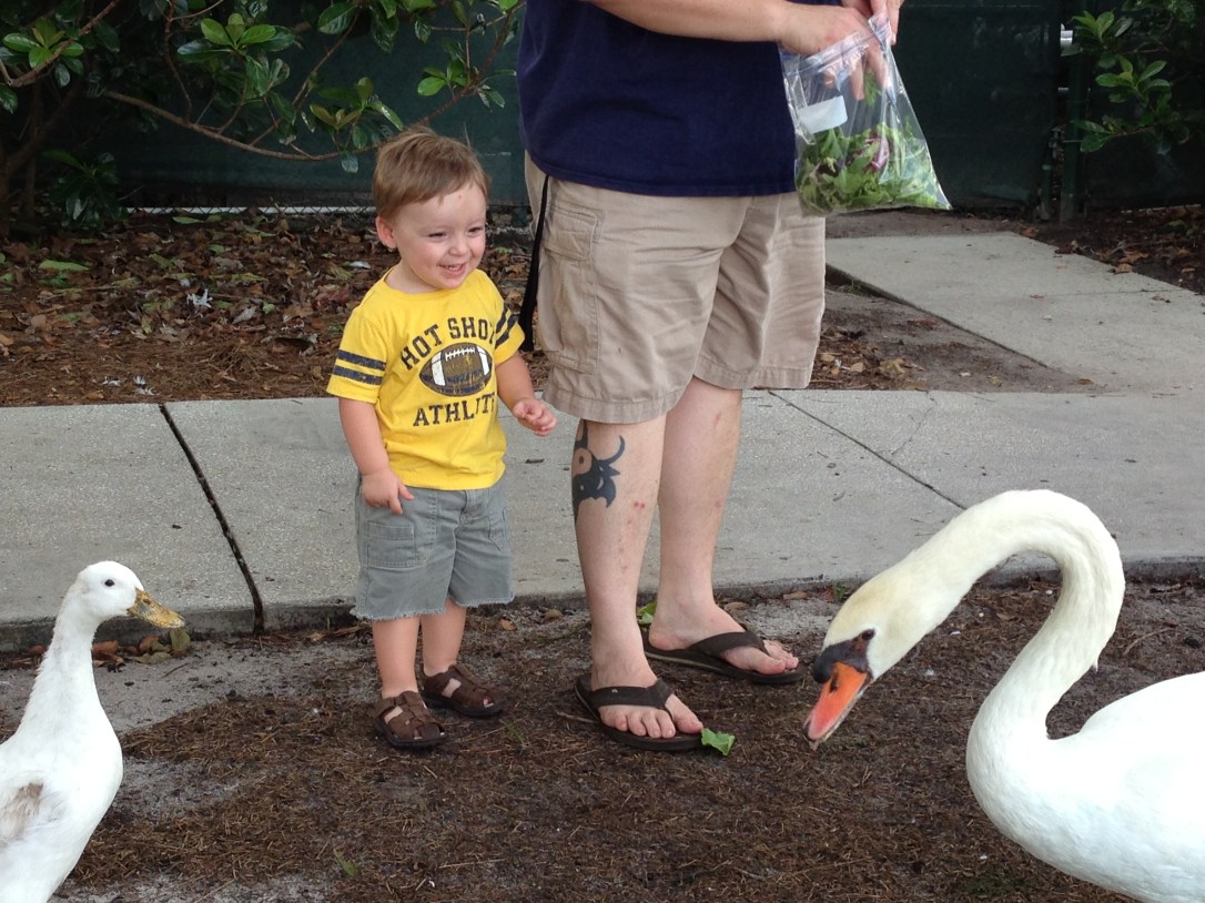 Lake Eola_8.4.13_ 007