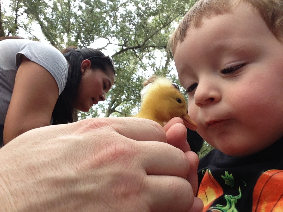 2013-10-20_Green Meadows Farm 013