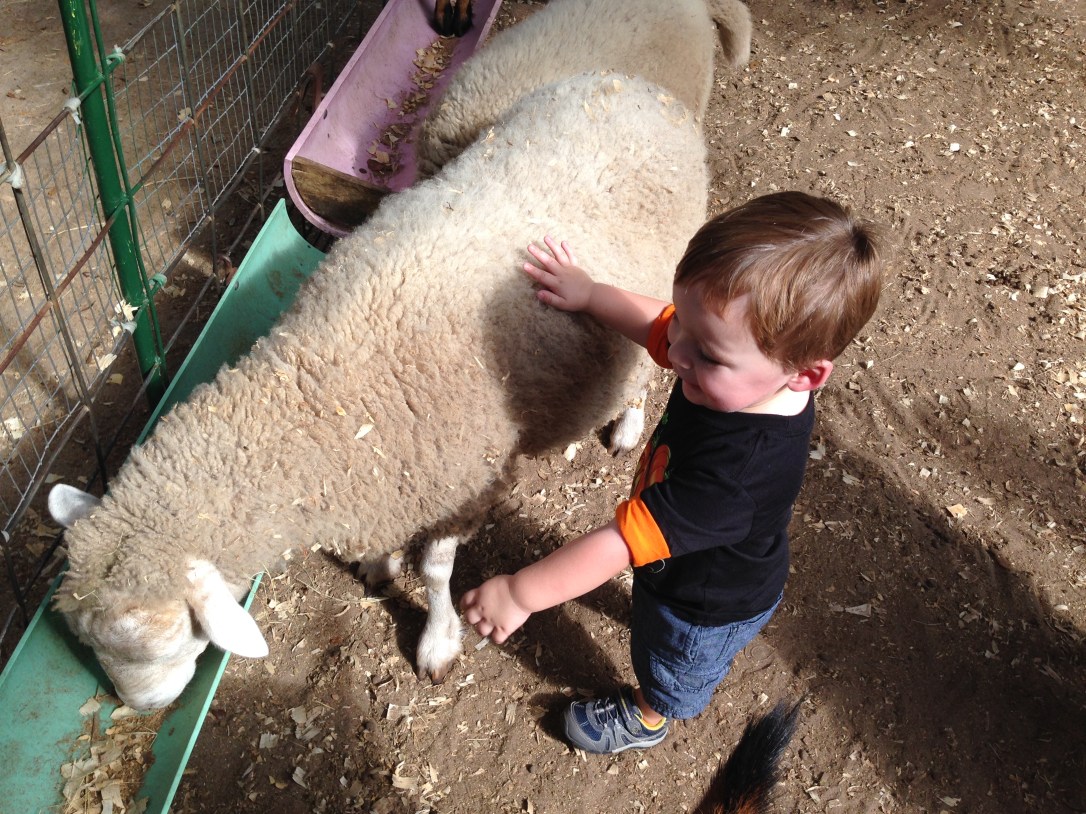 2013-10-20_Green Meadows Farm 035