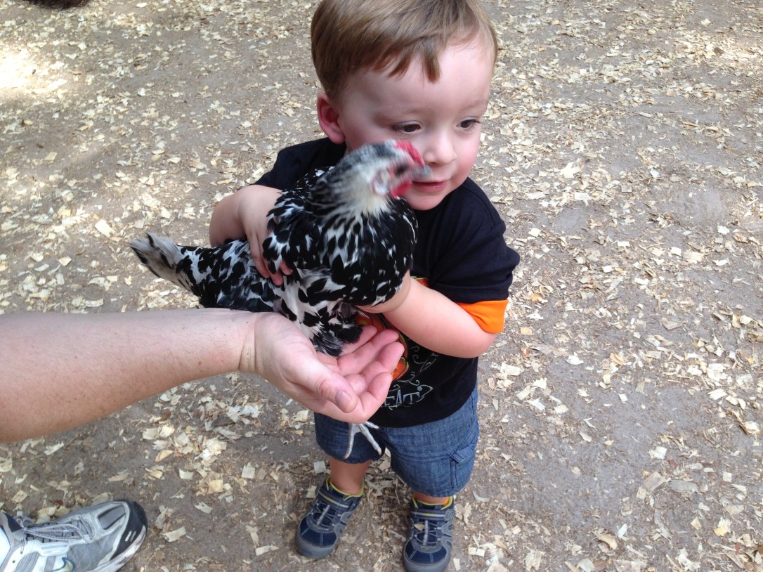 2013-10-20_Green Meadows Farm 044