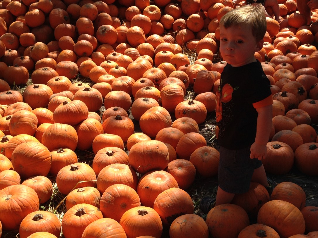 2013-10-20_Green Meadows Farm 075