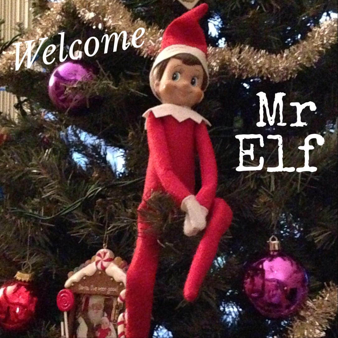 2013-12-01_Mr Elf Debuts