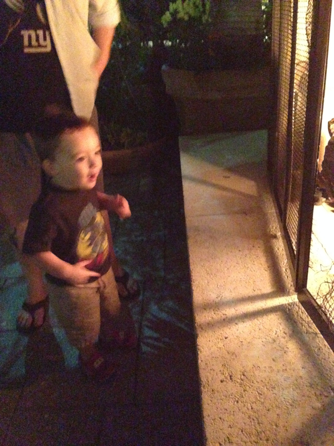 2014-03-01_Gaylord Palms 004