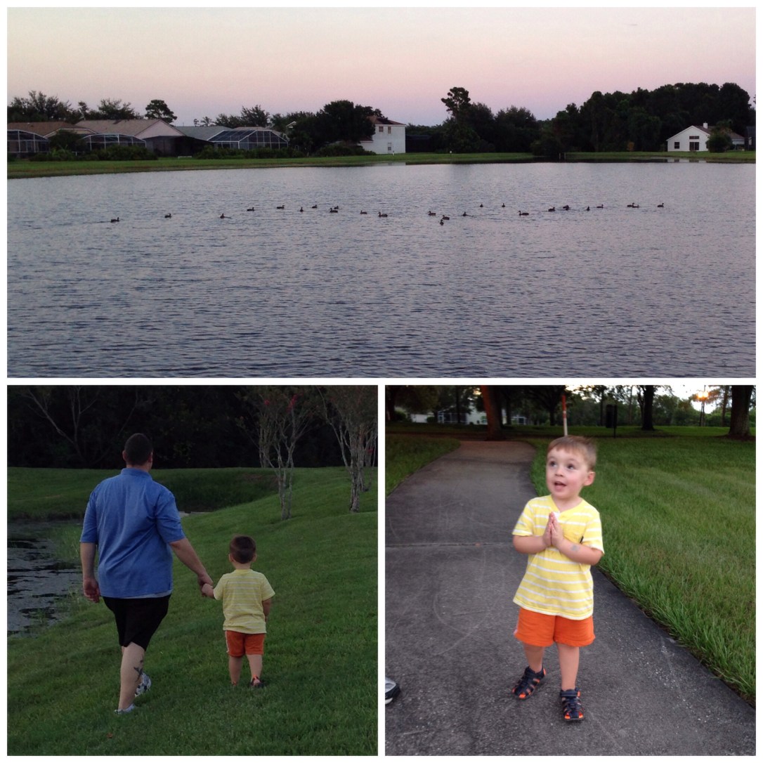 2014-08-28_family walk 008