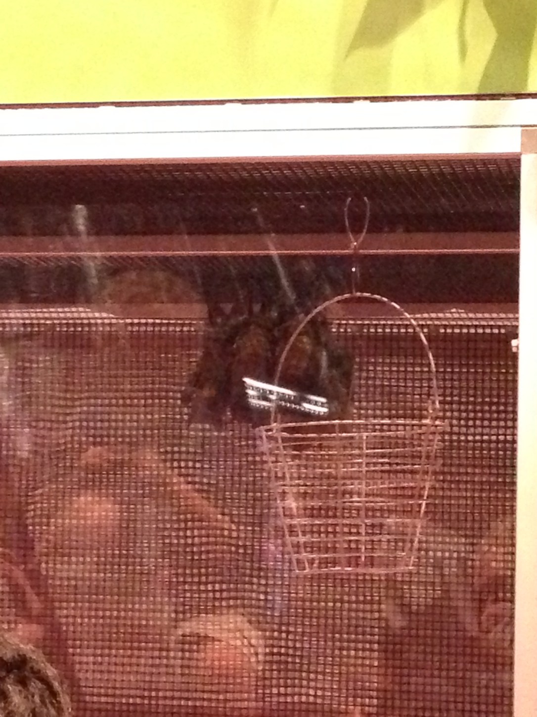 2014-09-20_Science Center 001