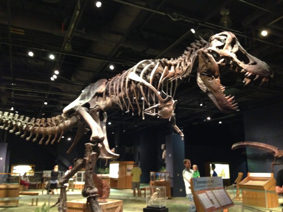 2014-09-20_Science Center 014