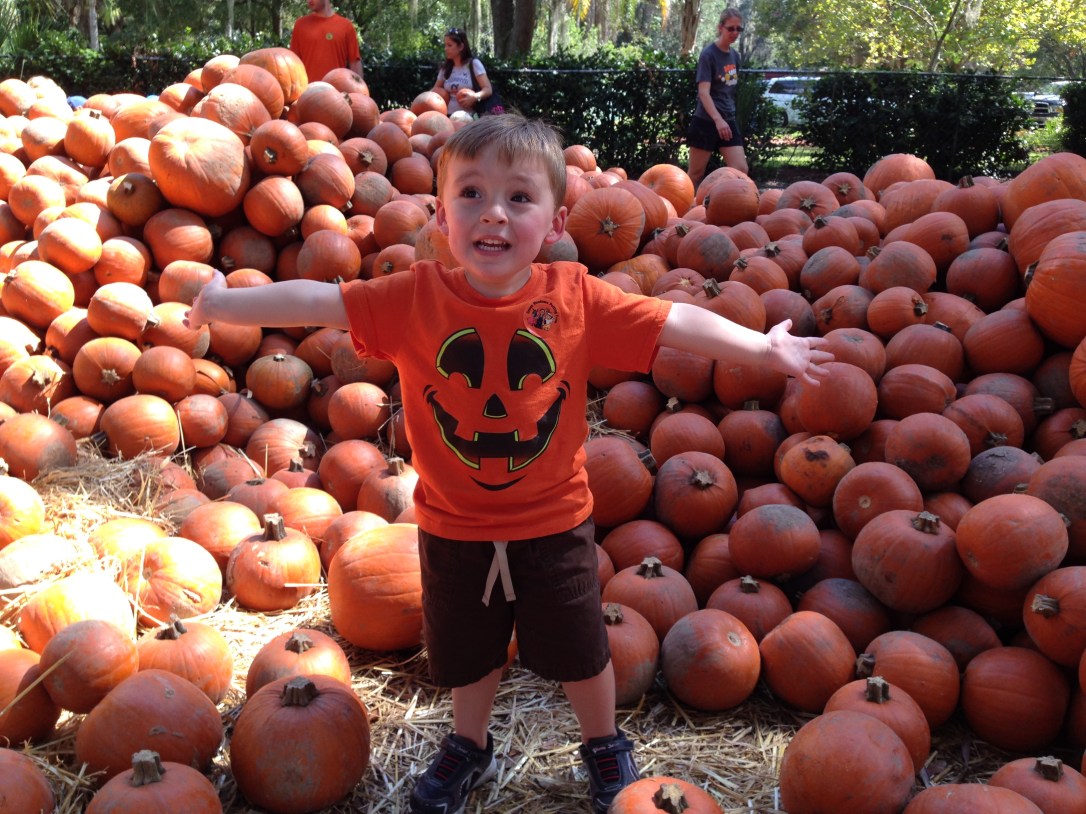 2014-10-19_Green Meadows Farm 064