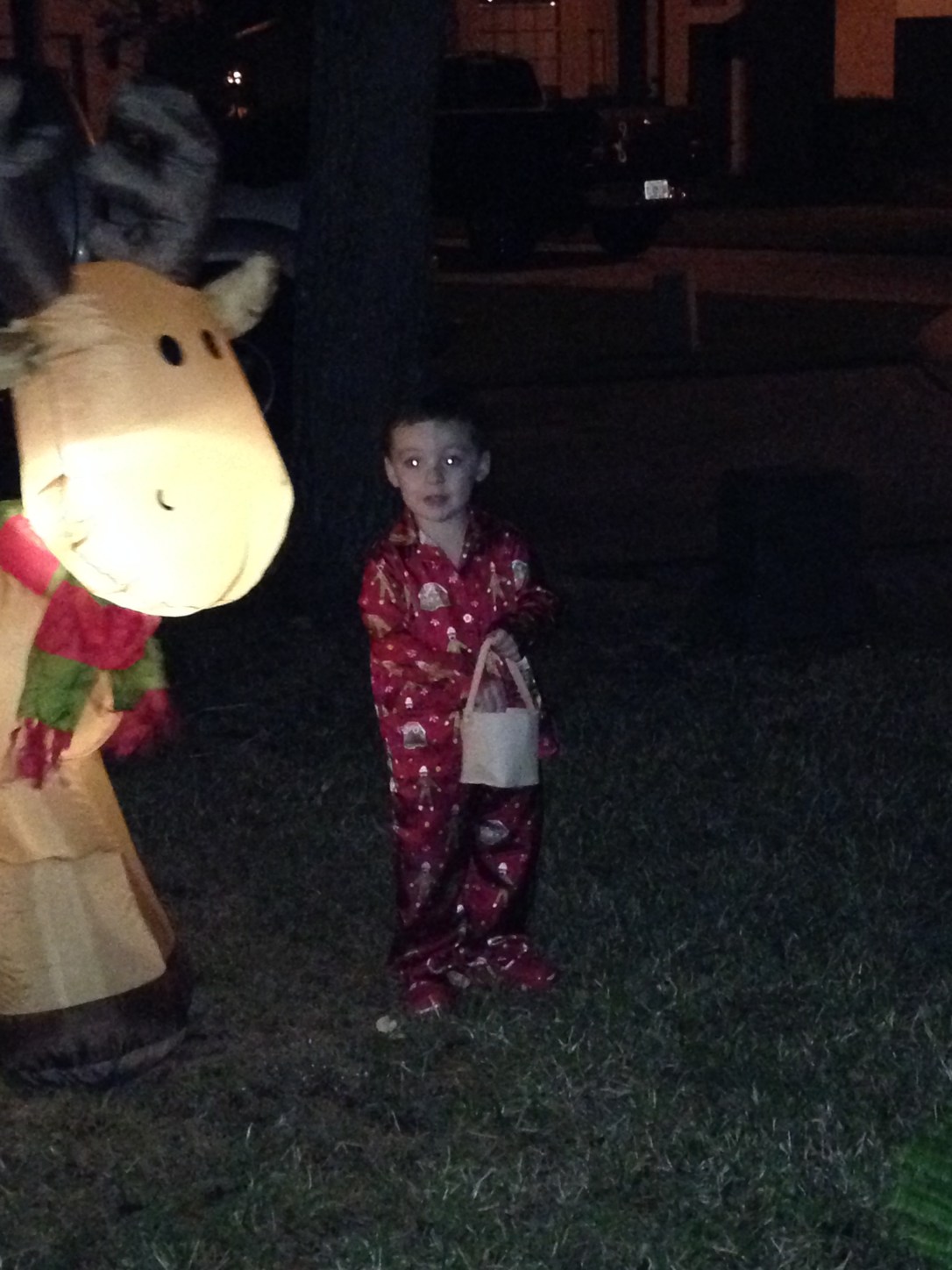 2014-12-24_feeding reindeer 004