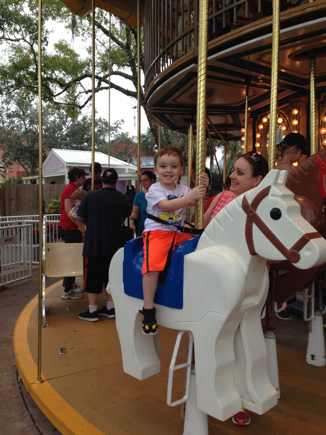 2014-12-30_Legoland carosol