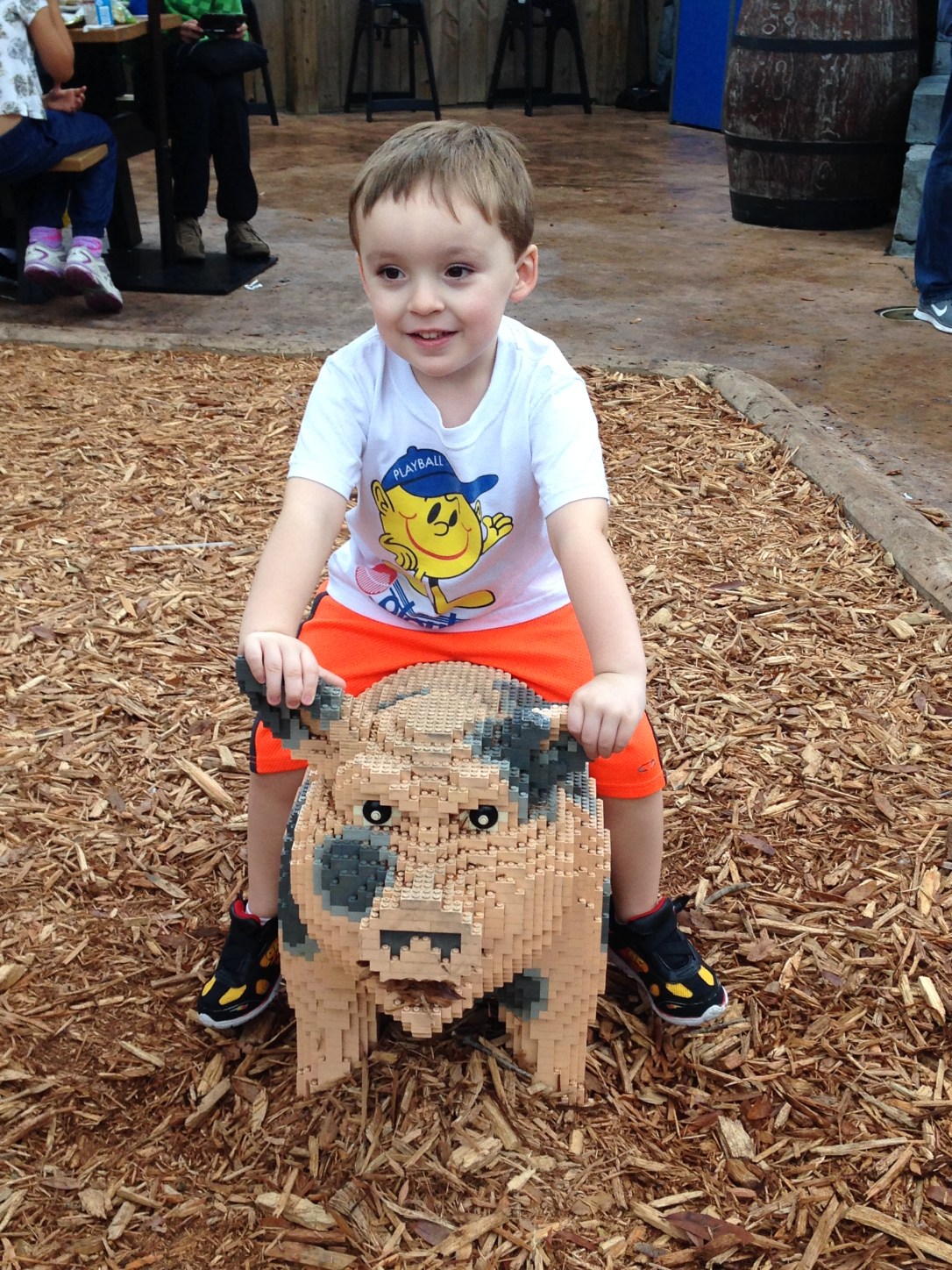 2014-12-30_Legoland piggy