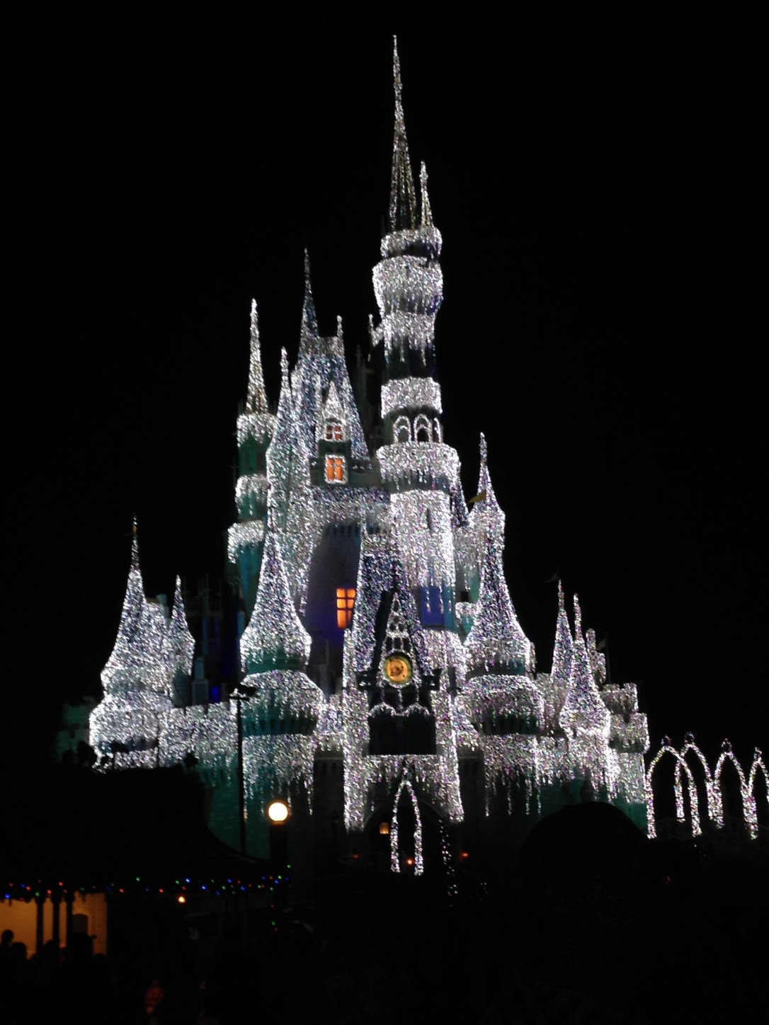 2015-01-03_Magic Kingdom_Castle_Frozen