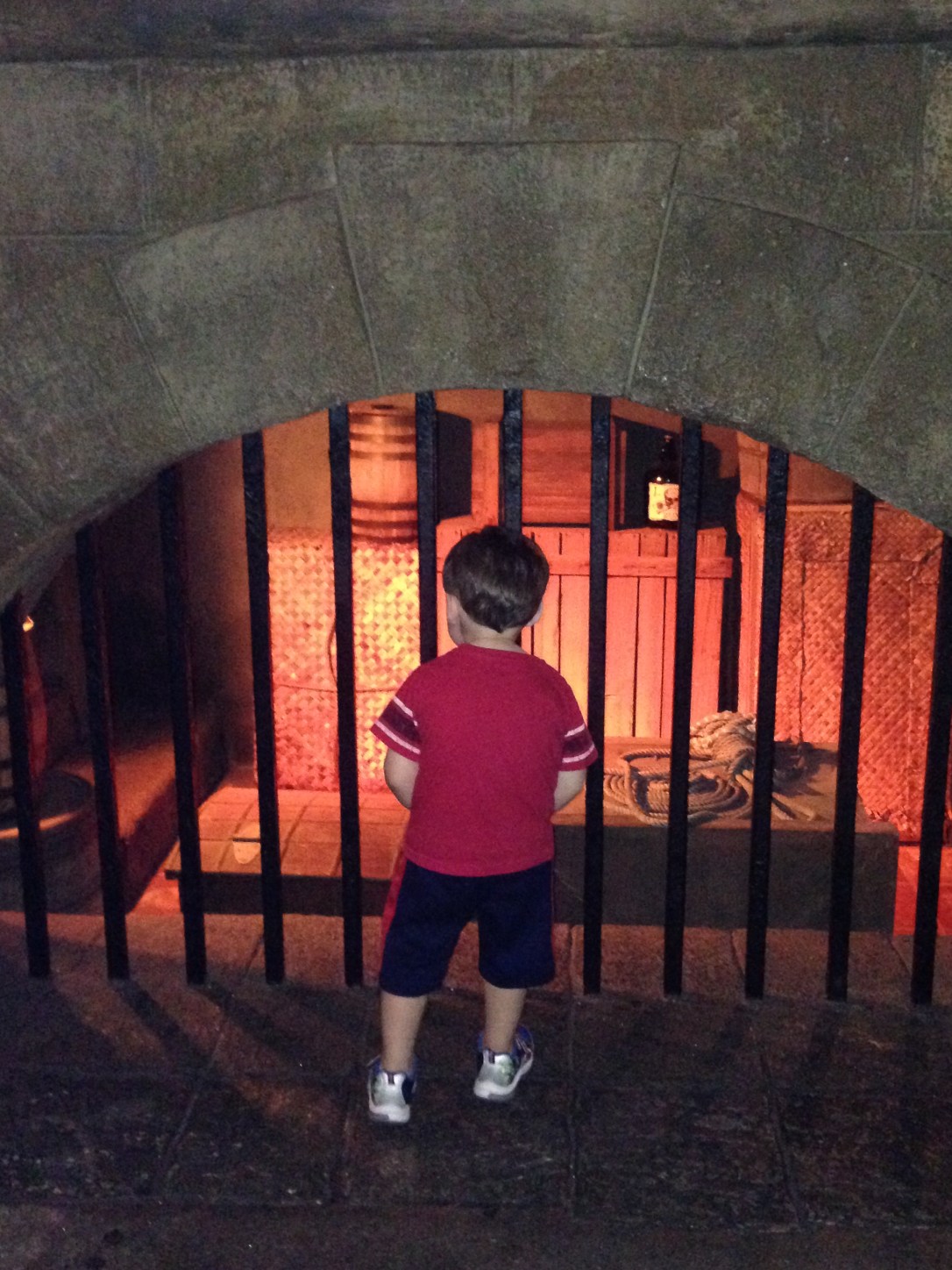 2015-01-03_Magic Kingdom_Pirates2