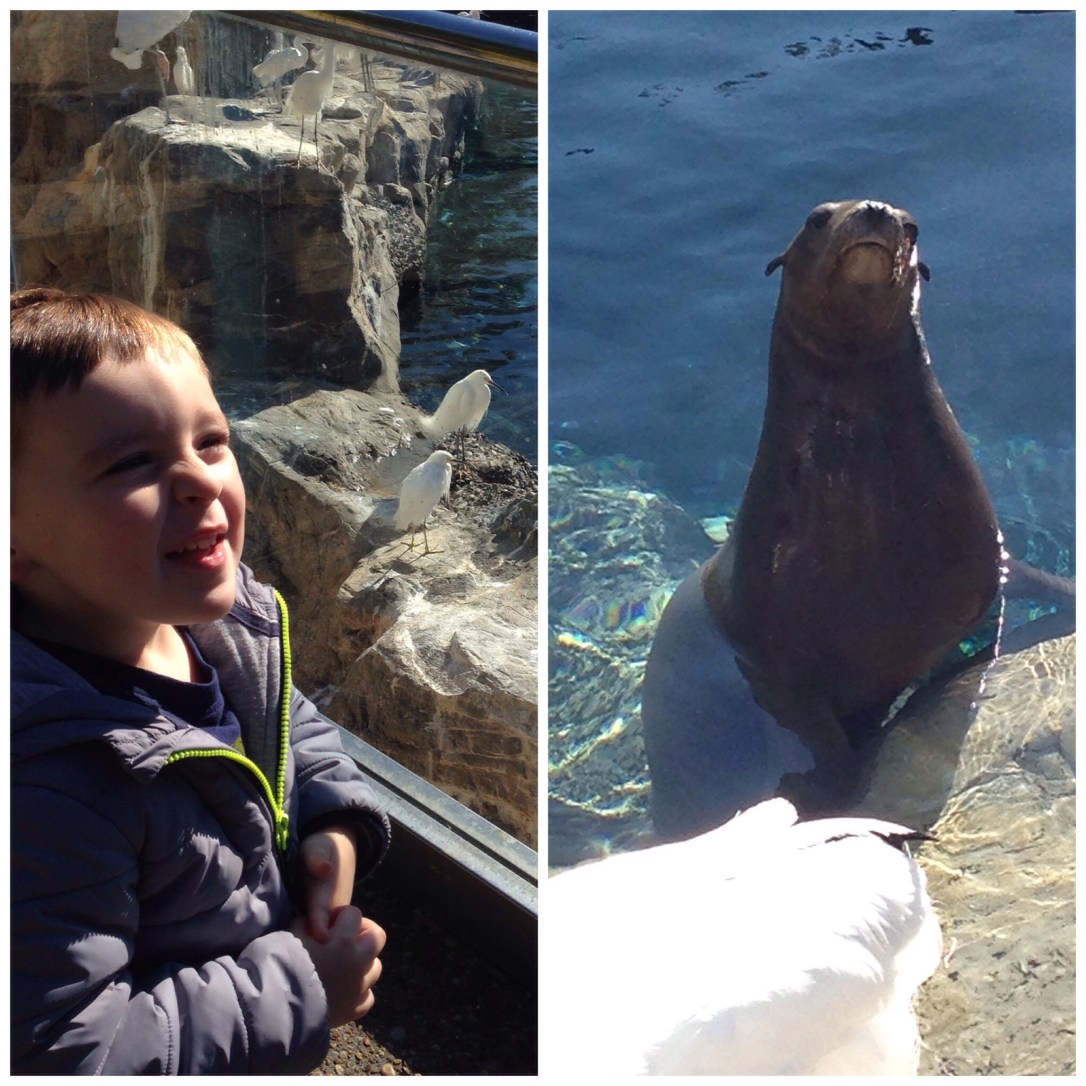 2015-02-14_Sea World 1st Visit 027