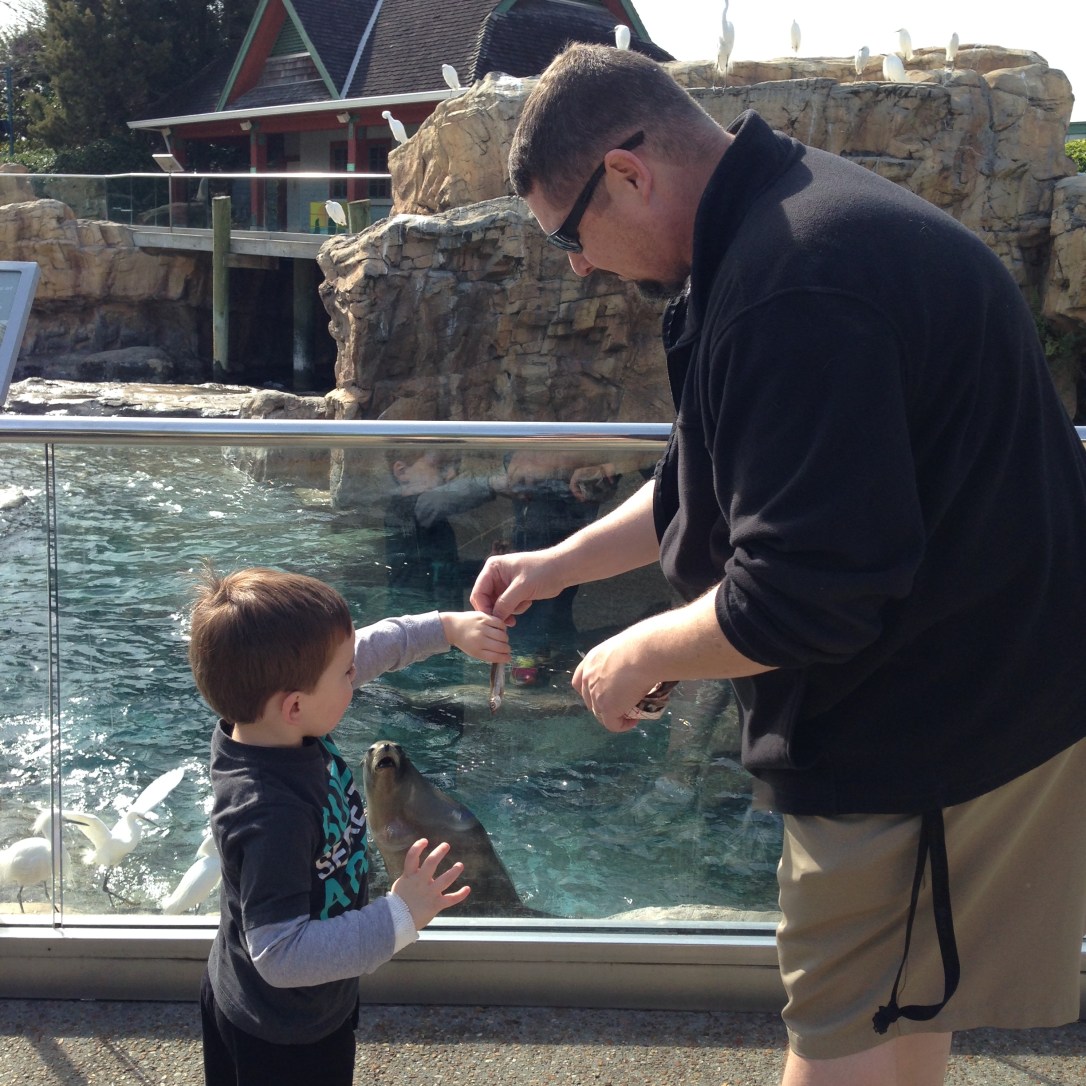 2015-02-21_Sea World 002