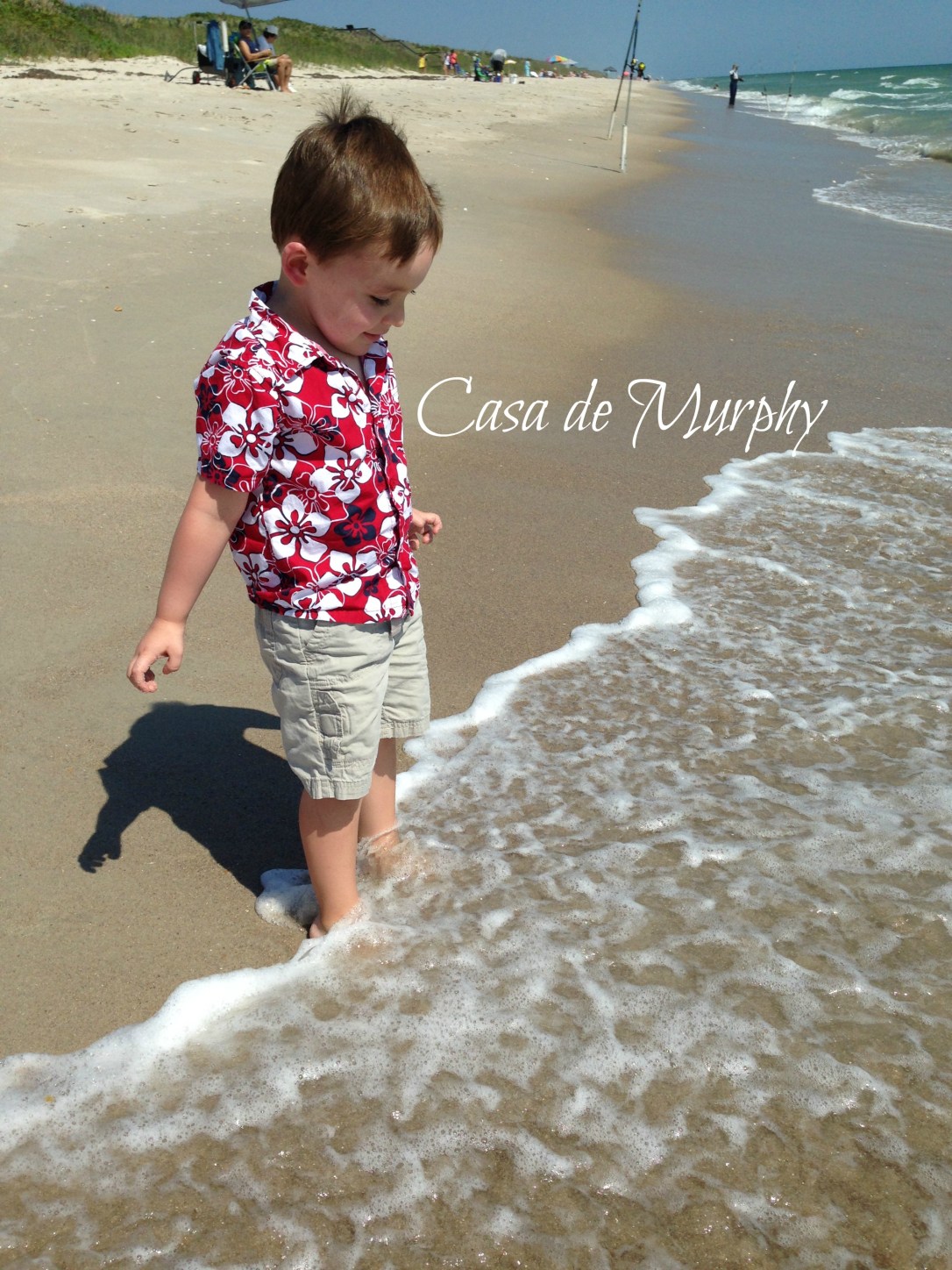 2015-05-22_Titusville Beach Walk 010EDITED