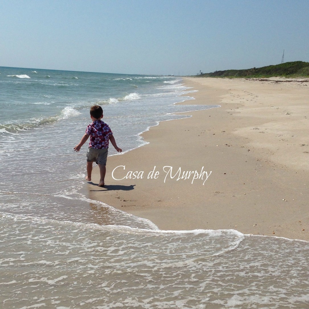 2015-05-22_Titusville Beach Walk 015EDITED