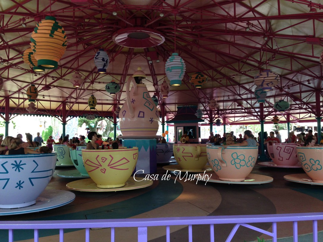 2015-05-24_Magic Kingdom Disney 013EDITED