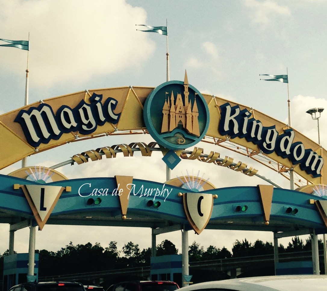 2015-05-24_magic kingdomEDITED