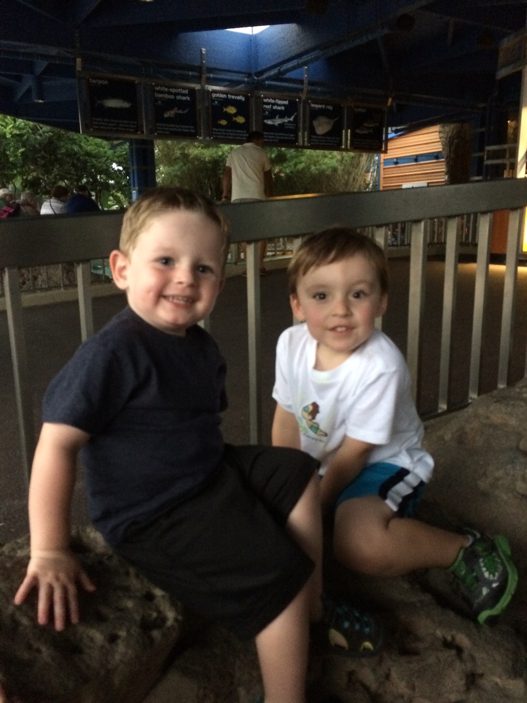 2015-06-20_SeaWorld Brandon and Liam