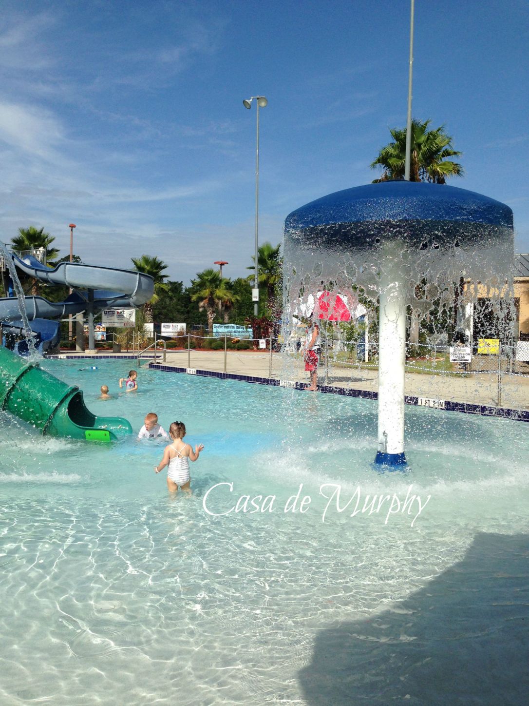 2015-08-01_Liam Birthday Party 3