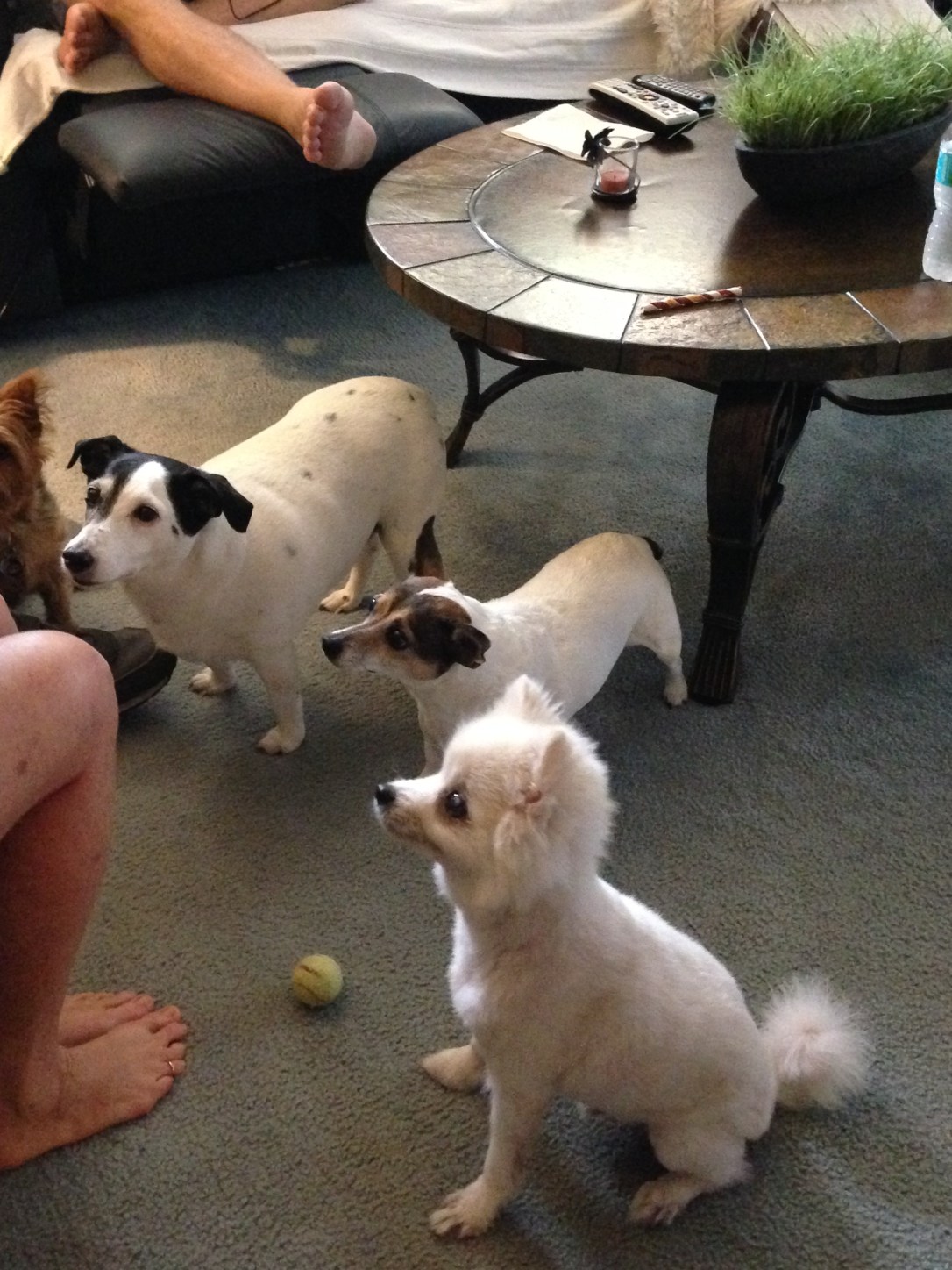 2015-09-07_Labor Day Weekend 8