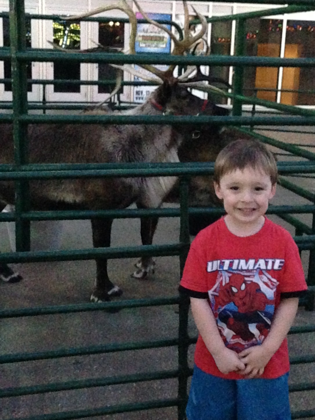 2015-12-02_LightUpUCF_Reindeer