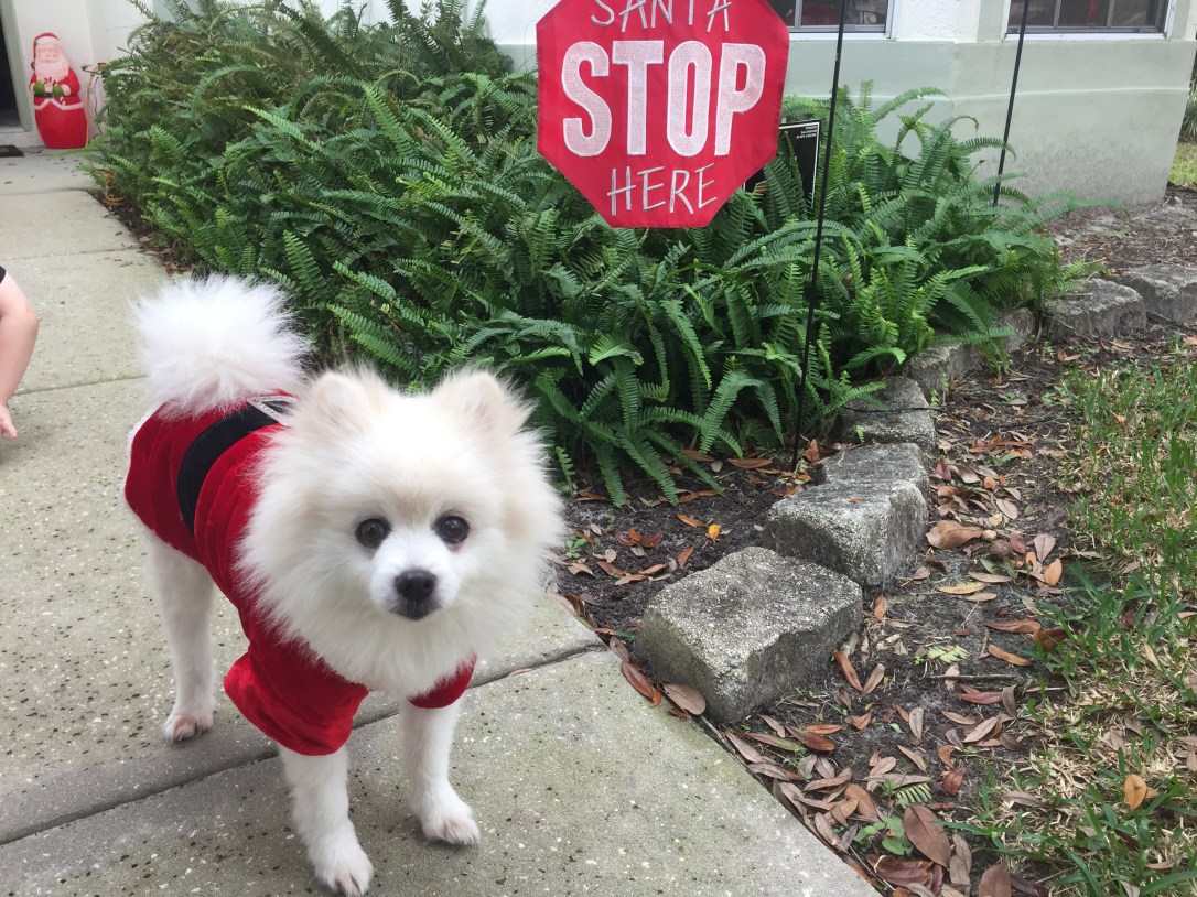 2015-12-24_Christmas Eve 024