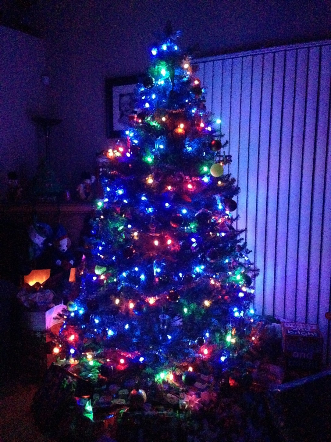 2015-12-25_Christmas 046