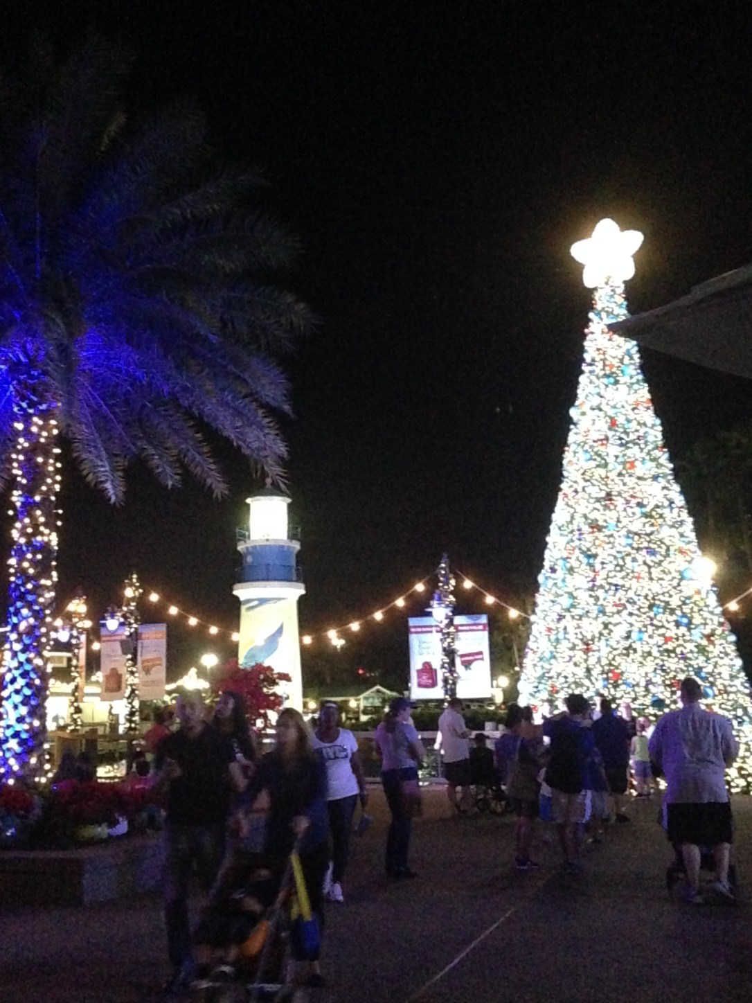 2015-12-26_Sea World 001