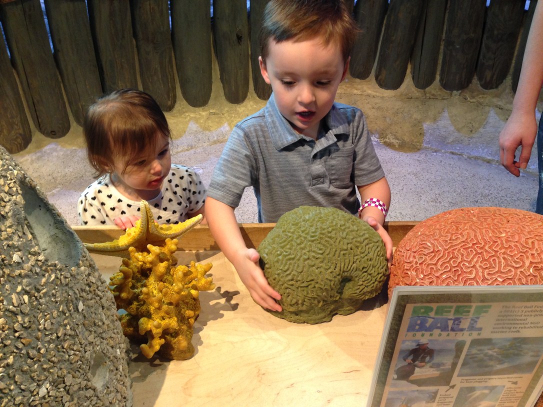 2015-12-29_Science Center 009