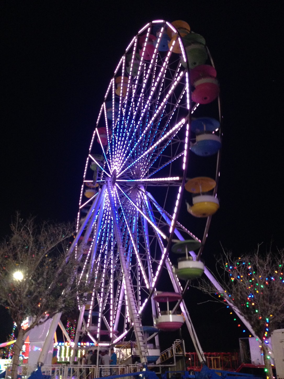 2016-01-01_Winter Carnival 024