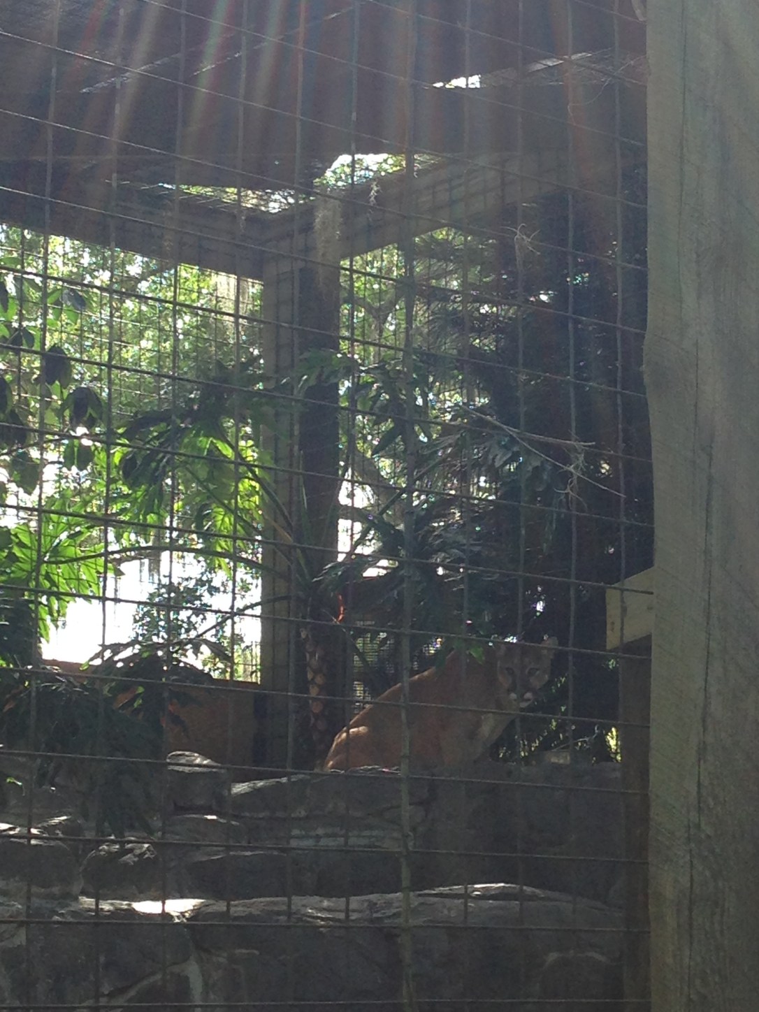 2016-04-10_Central FL Zoo 006