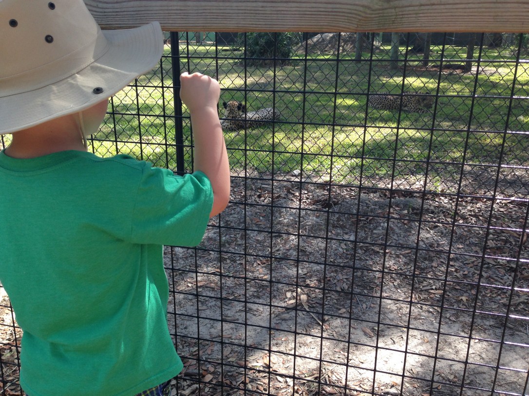 2016-04-10_Central FL Zoo 014