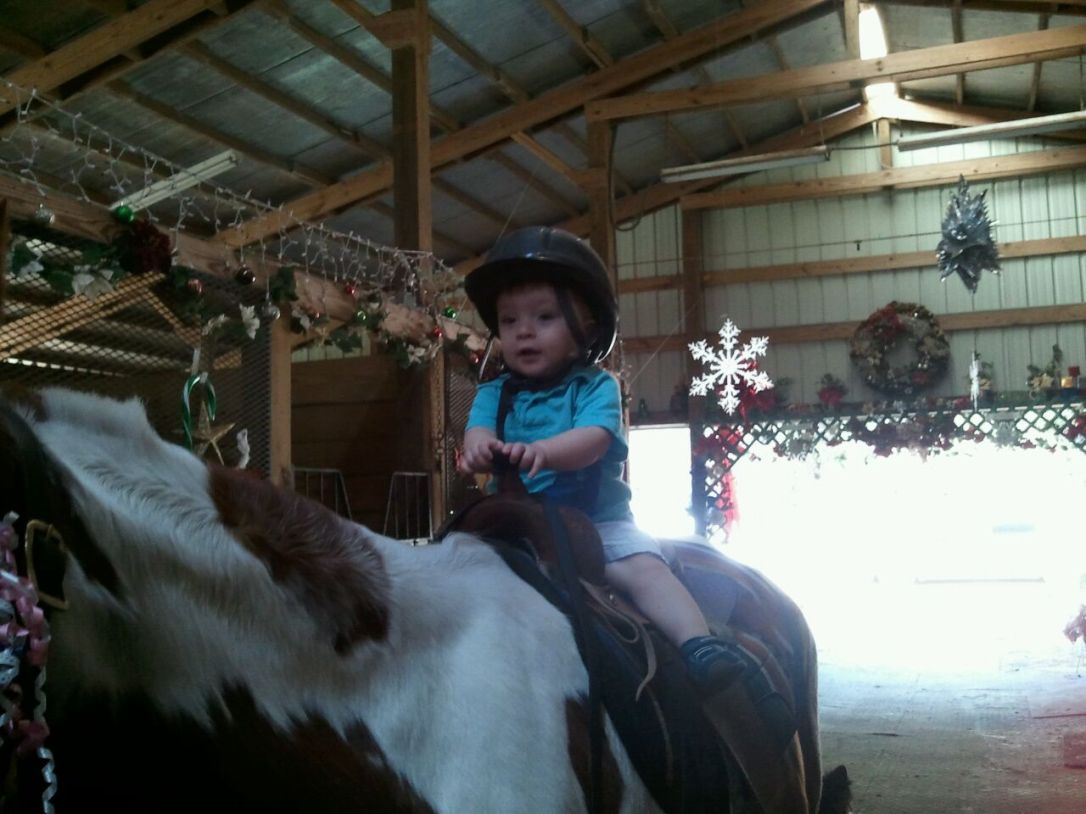 2013-01-13_1st ride_5_Kira the Horse