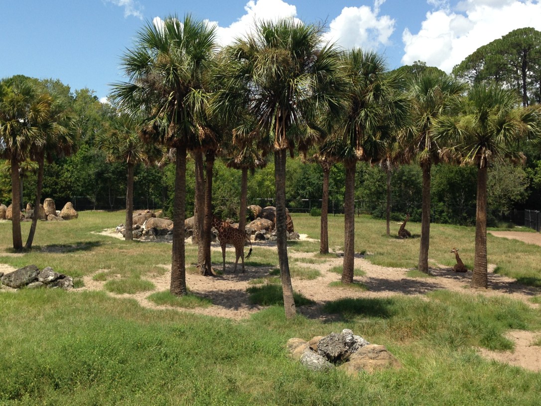 2016-07-31_Jacksonville Zoo_Liam 5th Bday 021