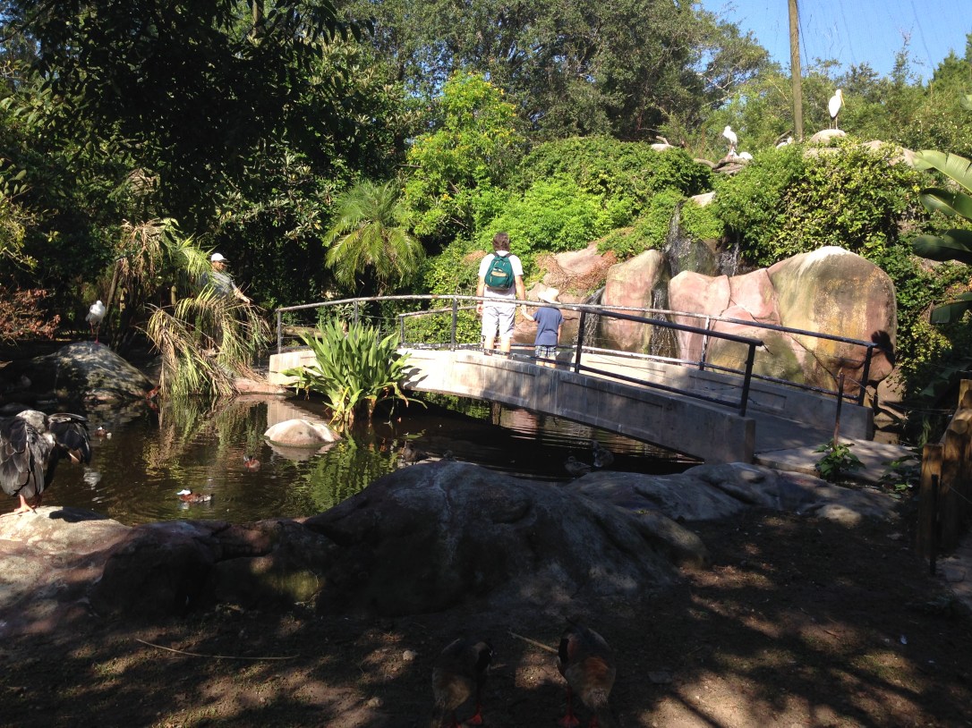 2016-07-31_Jacksonville Zoo_Liam 5th Bday 059