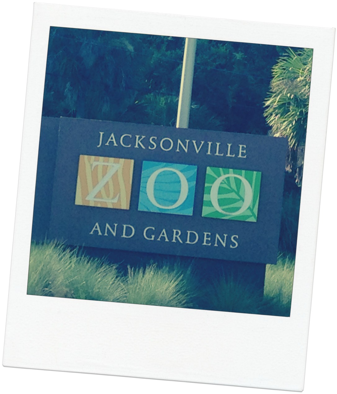 2016-07-31_Jacksonville Zoo_Liam 5th Bday 060